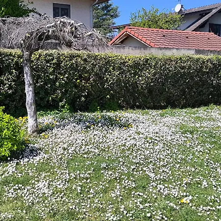 Apartment 3 Au Bord Du - Thonon-les-Bains