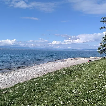 3 Au Bord Du -